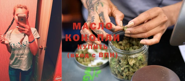 ГАЛЛЮЦИНОГЕННЫЕ ГРИБЫ Дмитриев