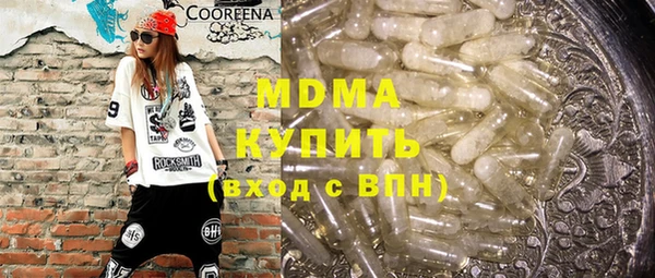 ГАЛЛЮЦИНОГЕННЫЕ ГРИБЫ Дмитриев