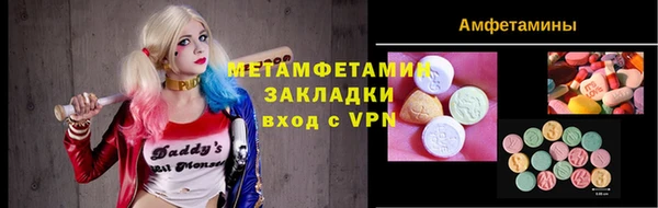 ГАЛЛЮЦИНОГЕННЫЕ ГРИБЫ Дмитриев