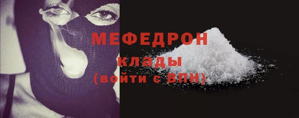 ГАЛЛЮЦИНОГЕННЫЕ ГРИБЫ Дмитриев