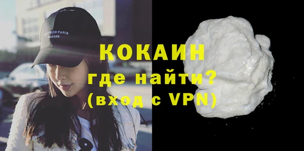 ГАЛЛЮЦИНОГЕННЫЕ ГРИБЫ Дмитриев
