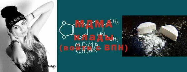 ГАЛЛЮЦИНОГЕННЫЕ ГРИБЫ Дмитриев