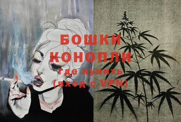 ГАЛЛЮЦИНОГЕННЫЕ ГРИБЫ Дмитриев