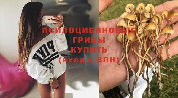 MESCALINE Дмитров