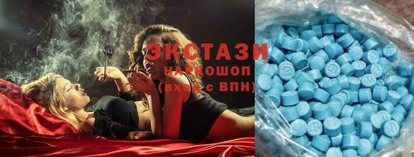 ГАЛЛЮЦИНОГЕННЫЕ ГРИБЫ Дмитриев