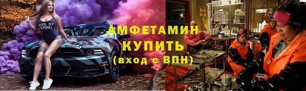 ГАЛЛЮЦИНОГЕННЫЕ ГРИБЫ Дмитриев