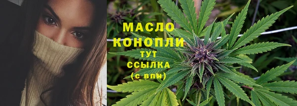 спиды Дмитровск