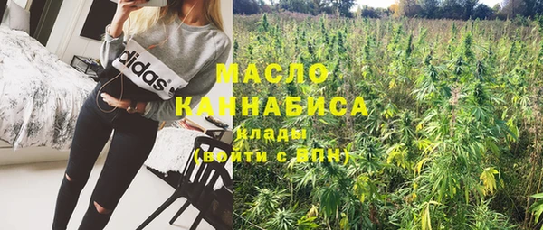 ГАЛЛЮЦИНОГЕННЫЕ ГРИБЫ Дмитриев