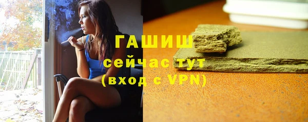 ГАЛЛЮЦИНОГЕННЫЕ ГРИБЫ Дмитриев
